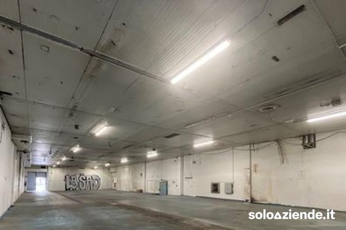 Affitto Fabbricati industriali - Capannoni CAPANNONI E MAGAZZINI VARIE METRATURE a Pero (MI)