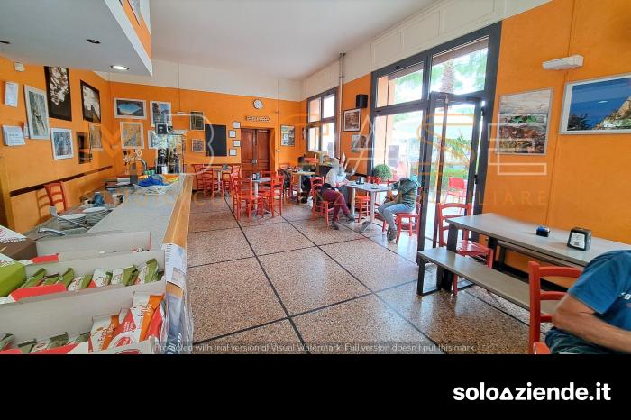 Vendita Ristoranti BAR/RISTORANTE CESSIONE ATTIVITA' a Cisano sul Neva (SV)