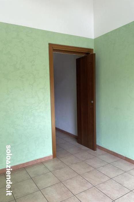 Affitto Immobili uso ufficio - ambulatorio NEGOZIO CON UNA VETRINA FRONTE STRADA a Segrate (MI)
