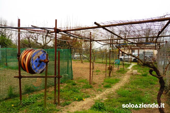 MAGAZZINO - TERRENO - Soloaziende.it