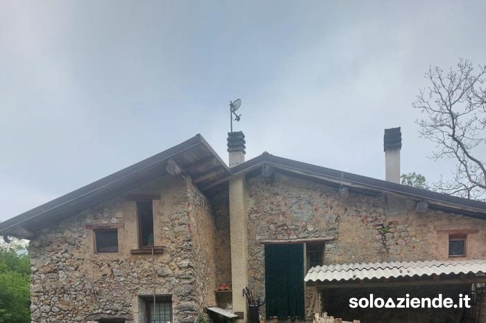 Vendita Attivita' artigianali alimentari e non AZIENDA AGRICOLA ALLEVAMENTO E FORMAGGI DI CAPRA  a Pertica Bassa (BS)