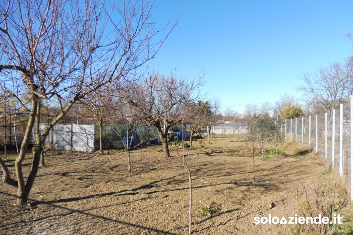 MAGAZZINO - TERRENO - Soloaziende.it