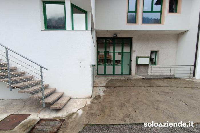 Vendita Fabbricati industriali - Capannoni CAPANNONE E UFFICIO a Tonadico (TN)