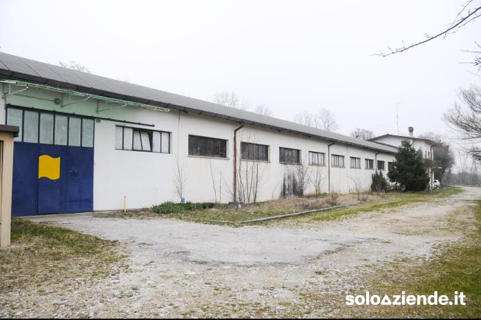 Vendita Fabbricati industriali - Capannoni CAPANNONE 2APPARTAMENTI TERRENO AGRI a San Quirino (PN)
