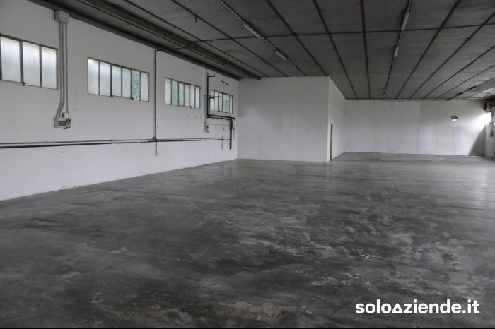 Vendita Fabbricati industriali - Capannoni CAPANNONE 2APPARTAMENTI TERRENO AGRI a San Quirino (PN)