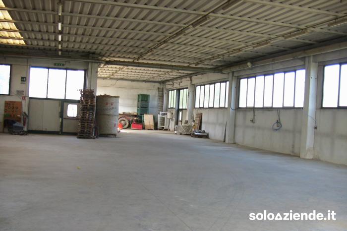 Vendita Fabbricati industriali - Capannoni INTERA PROPIETA' a Cerea (VR)