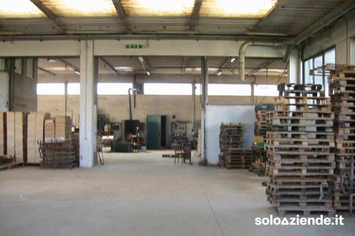 Vendita Fabbricati industriali - Capannoni INTERA PROPIETA' a Cerea (VR)
