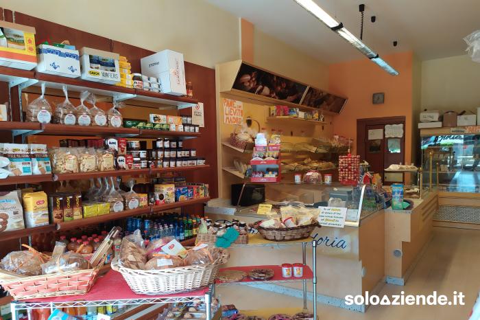 Vendita Commercio al dettaglio solo alimentare RIVENDITA DI PANE E VENDITA ALIMENTARI  a Martellago (VE)