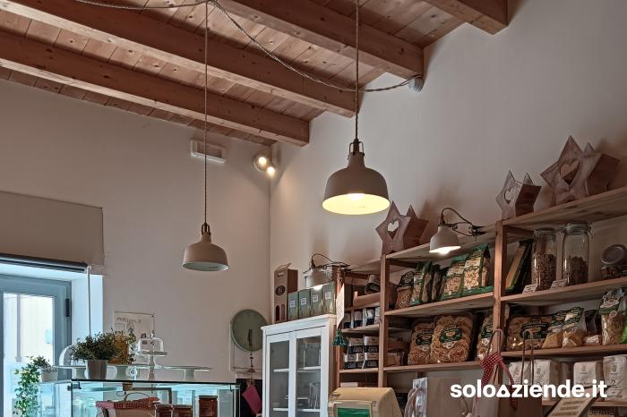 Vendita Attivita' artigianali alimentari e non ATTIVITÀ COMMERCIALE, NEGOZIO E LABORATORIO a Camerano (AN)