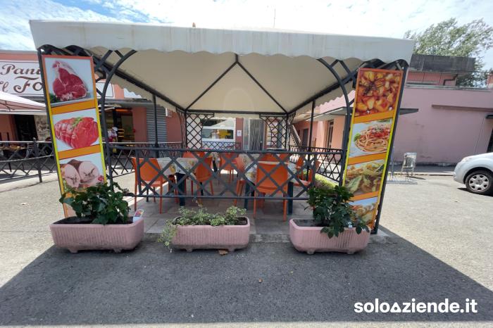 Vendita Commercio al dettaglio solo alimentare STORICA MACELLERIA GASTRONOMIA a Massa (MS)
