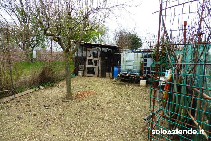 MAGAZZINO - TERRENO - Soloaziende.it