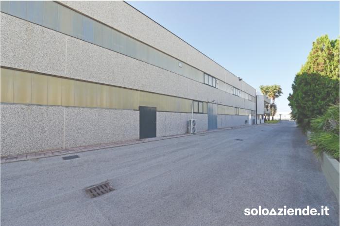 Vendita Edifici interi commerciali VENDESI CAPANNONE COMMERCIALE  a Molfetta (BA)
