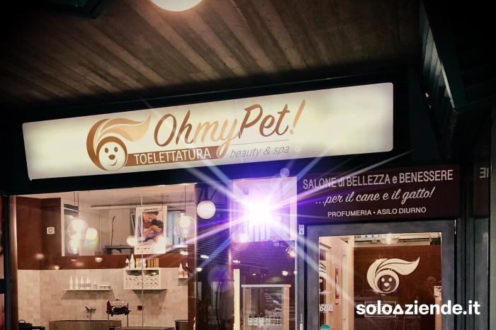 Vendita Servizi vari ATTIVITA' DI TOELETTATURA PER ANIMALI DOMESTICI a Rivalta di Torino (TO)