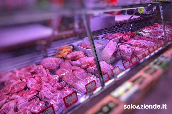 Vendita Commercio al dettaglio solo alimentare STORICA MACELLERIA GASTRONOMIA a Massa (MS)