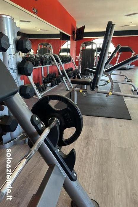 Vendita Servizi vari ATTIVITÀ PALESTRA GIÀ AVVIATA COMPLETO DI TUTTO a Lanciano (CH)
