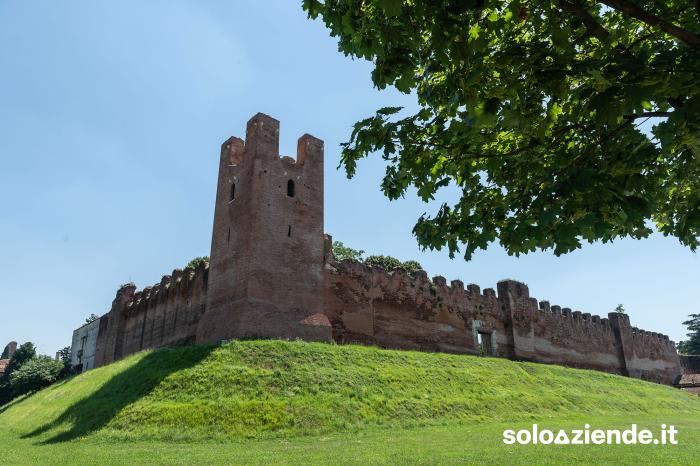 Vendita Locali commerciali e artigianali NEGOZIO SOTTO I PORTICI PIAZZA GIORGIONE a Castelfranco Veneto (TV)