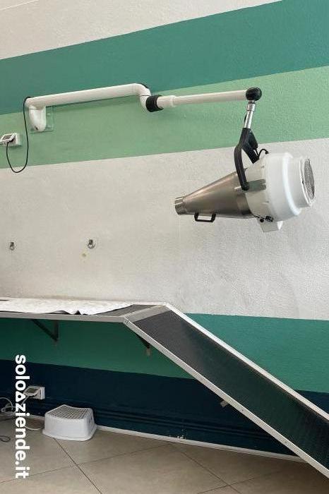 Vendita Servizi vari TOELETTATURA  a Corsico (MI)