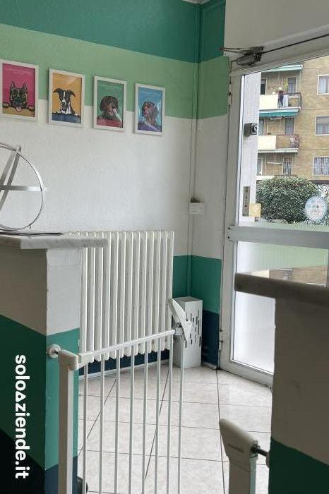 Vendita Servizi vari TOELETTATURA  a Corsico (MI)
