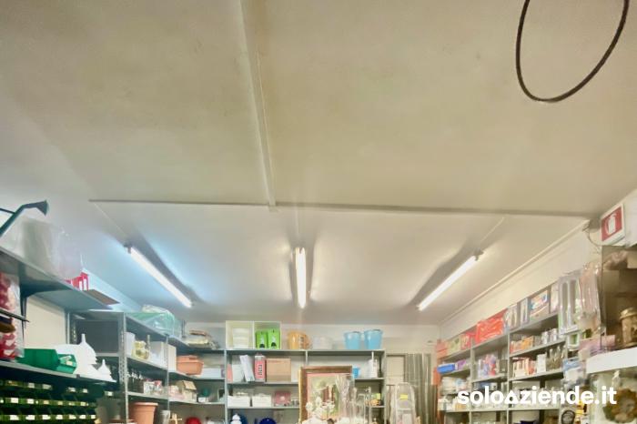Vendita Commercio al dettaglio non alimentare VENDESI FERRAMENTA CON CESSIONE MURI a Occhiobello (RO)