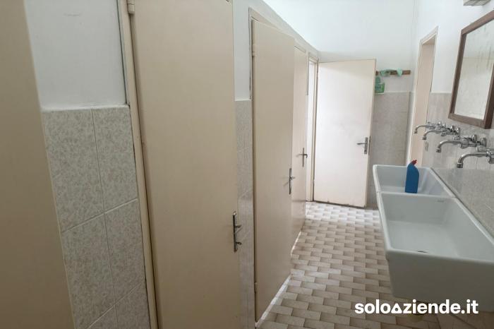 Affitto Locali commerciali e artigianali CAPANNONE USO ARTIGIANALE a Villa del Conte (PD)