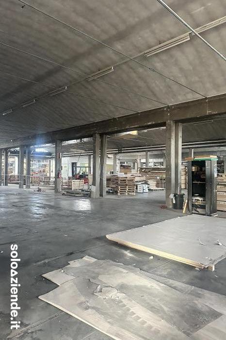 CAPANNONE IN AFFITTO VICINANZE SILEA - Soloaziende.it