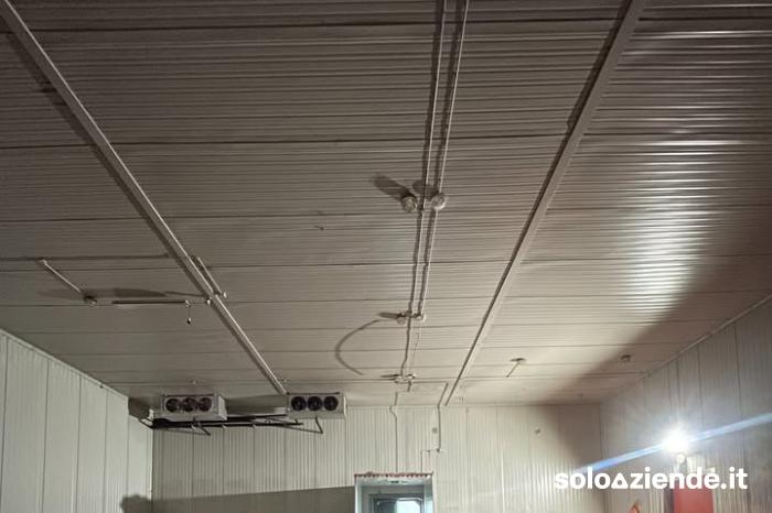 Affitto Fabbricati industriali - Capannoni CAPANNONE 400 MQ - PERO VIA BUONARROTI a Pero (MI)