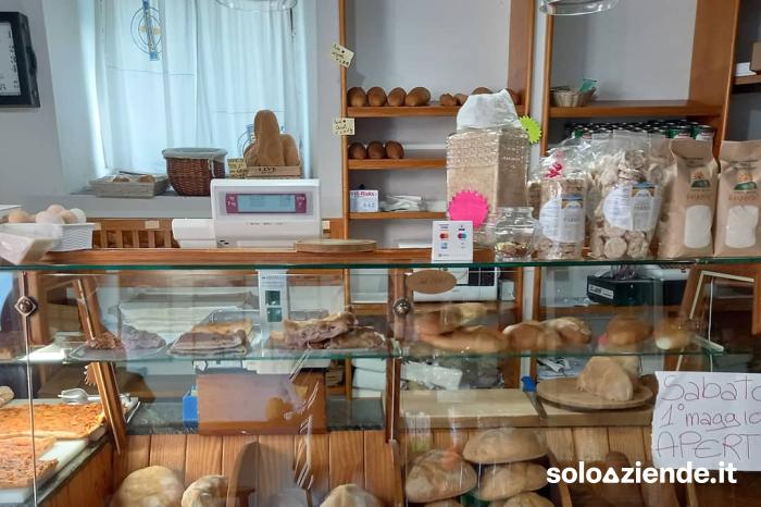 Vendita Commercio al dettaglio solo alimentare VENDITA AL DETTAGLIO DI PANE PIZZA DOLCI ETC.. a Spoleto (PG)