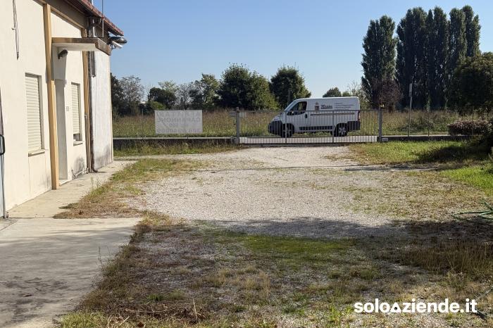 Affitto Locali commerciali e artigianali CAPANNONE USO ARTIGIANALE a Villa del Conte (PD)