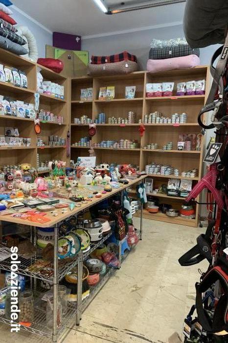 Vendita Commercio al dettaglio non alimentare VENDESI NEGOZIO TOELETTATURA ARTICOLI PER ANIMALI a Milano (MI)