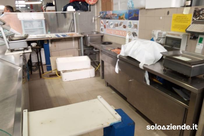 Vendita Commercio al dettaglio solo alimentare ATTIVITÀ DI PESCHERIA a Rimini (RN)