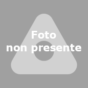 Inserzionista SoloAziende.it