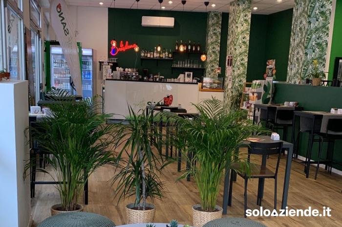 Vendita Bar CAFFETTERIA, PRANZI VELOCI, APERITIVI a Ferrara (FE)